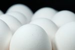 温泉卵の賞味期限について徹底解説【どのくらい日持ちする？】