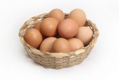 卵(たまご)の効能をわかりやすく徹底解説【どんな効果が期待できる？】