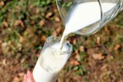 牛乳の効能をわかりやすく徹底解説【どんな効果が期待できる？】