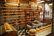 プロセスチーズの製造所