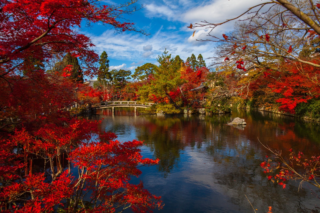 京都